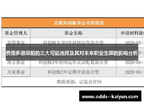 费南多退役前的三大可能选择及其对未来职业生涯的影响分析