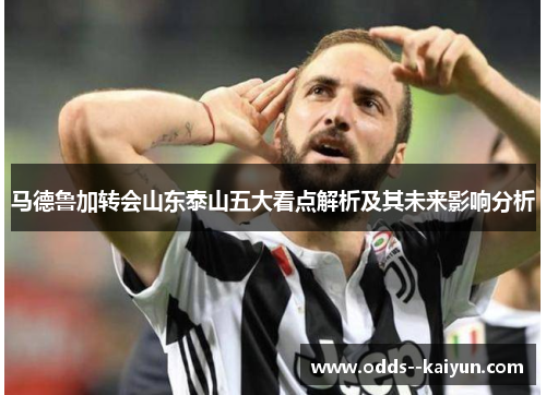 马德鲁加转会山东泰山五大看点解析及其未来影响分析