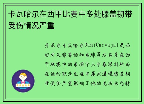卡瓦哈尔在西甲比赛中多处膝盖韧带受伤情况严重 卡瓦哈尔在西甲比赛中多处膝盖韧带受伤情况严重