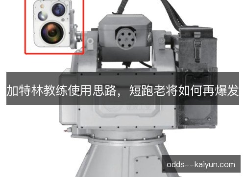 加特林教练使用思路,短跑老将如何再爆发 加特林教练使用思路,短跑老将如何再爆发